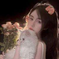 优画工具箱桌面版，一个现代化UI设计的A